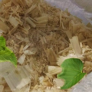 Лиственные опилки оптом в Екатеринбурге от завода-производителя Лигнум Ресурс