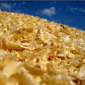 Опилки оптом в Екатеринбурге высокого качества Опилки оптом в Екатеринбурге купить - оперативная доставка по всей России