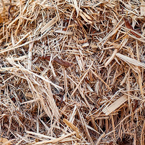 Щепа для арболита оптом в Екатеринбурге и других различных марок заказать от 16 тонн